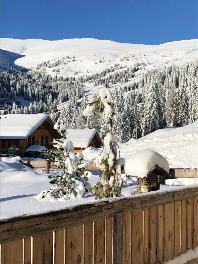 Almhaus Chalet Lachtal Oberwoelz Stadt Exteriér fotografie